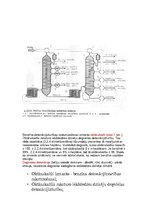 Prezentācija 'Naftas frakcionālā destilācija', 14.