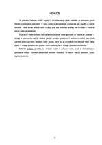 Referāts 'Tiesiskas valsts ideja un tās īstenošanas nosacījumi', 3.