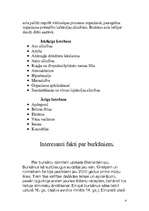 Referāts 'Burkāni', 4.