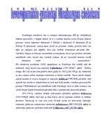 Referāts 'Dvinskas cietoksnis', 4.