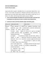 Eseja 'Biroju veidi, to priekšrocības un trūkumi', 1.