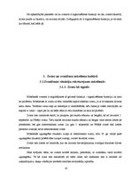 Referāts 'Zvani transnacionālajā un mūsdienu kultūrā', 17.