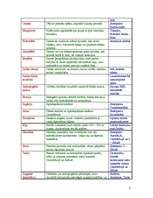 Konspekts 'Ģeogrāfijas jēdzieni, skaidrojumi un piemēri', 2.