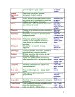 Konspekts 'Ģeogrāfijas jēdzieni, skaidrojumi un piemēri', 3.