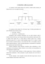 Biznesa plāns 'SIA "Pie Samiņa"', 4.