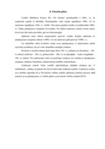 Biznesa plāns 'SIA "Pie Samiņa"', 9.