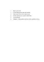 Eseja 'Antuāns de Sent-Ekziperī "Īsti mēs redzam tikai ar sirdi, būtiskais nav acīmredz', 2.