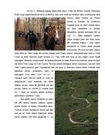 Referāts 'Aktīva pasākuma projekts Abruco Nacionālajā parkā Itālijā', 20.