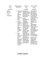 Konspekts 'Lasītāja biogrāfija', 1.