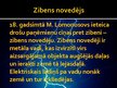 Prezentācija 'Zibens', 13.
