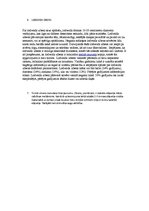 Prezentācija 'Zibens', 16.