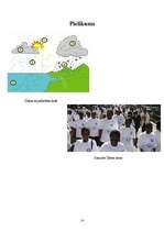 Referāts 'Ūdens', 13.