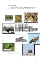 Referāts 'Spēles bioloģijas stundā', 21.