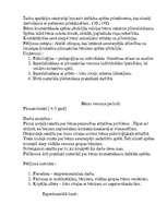 Referāts 'Sižeta – lomu rotaļas bērnu sadarbības prasmju attīstīšanā', 2.