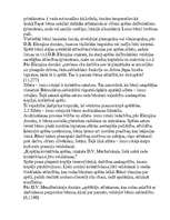 Referāts 'Sižeta – lomu rotaļas bērnu sadarbības prasmju attīstīšanā', 6.