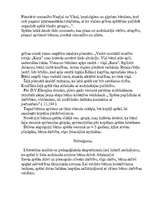 Referāts 'Sižeta – lomu rotaļas bērnu sadarbības prasmju attīstīšanā', 9.