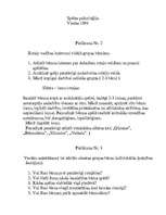 Referāts 'Sižeta – lomu rotaļas bērnu sadarbības prasmju attīstīšanā', 13.