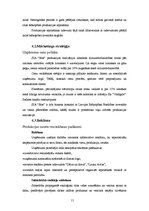 Biznesa plāns 'Biškopības piederumu veikals "Bite"', 11.