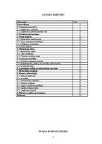 Biznesa plāns 'Biznesa plāns individuālajam komersantam', 2.