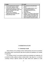 Biznesa plāns 'Biznesa plāns individuālajam komersantam', 15.