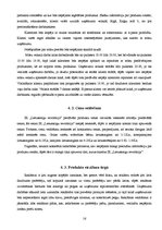 Biznesa plāns 'Biznesa plāns individuālajam komersantam', 16.