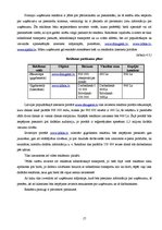 Biznesa plāns 'Biznesa plāns individuālajam komersantam', 17.