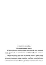 Biznesa plāns 'Biznesa plāns individuālajam komersantam', 18.