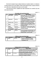 Biznesa plāns 'Biznesa plāns individuālajam komersantam', 20.