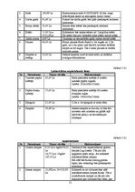 Biznesa plāns 'Biznesa plāns individuālajam komersantam', 21.