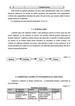 Biznesa plāns 'Biznesa plāns individuālajam komersantam', 22.