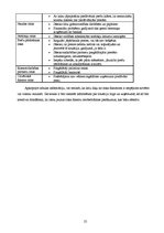 Biznesa plāns 'Biznesa plāns individuālajam komersantam', 25.