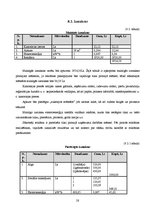 Biznesa plāns 'Biznesa plāns individuālajam komersantam', 28.