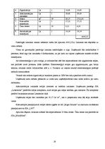 Biznesa plāns 'Biznesa plāns individuālajam komersantam', 29.