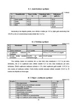 Biznesa plāns 'Biznesa plāns individuālajam komersantam', 30.