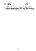 Biznesa plāns 'Biznesa plāns individuālajam komersantam', 31.