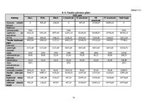 Biznesa plāns 'Biznesa plāns individuālajam komersantam', 32.