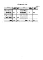 Biznesa plāns 'Biznesa plāns individuālajam komersantam', 33.