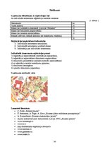 Biznesa plāns 'Biznesa plāns individuālajam komersantam', 34.