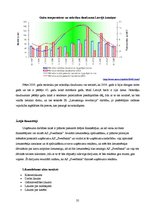 Biznesa plāns 'Biznesa plāns individuālajam komersantam', 35.