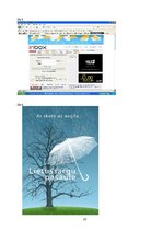 Biznesa plāns 'Biznesa plāns individuālajam komersantam', 37.