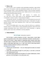 Referāts 'AAS "BALTA Dzīvība"', 3.