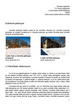 Referāts 'Lielvārdes pilsdrupas', 1.