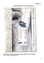 Referāts 'Lielvārdes pilsdrupas', 10.