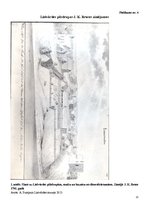 Referāts 'Lielvārdes pilsdrupas', 11.