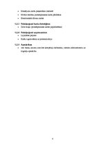 Prakses atskaite 'Atskaite par maģistra praksi uzņēmumā SIA "First Data Latvia"', 6.