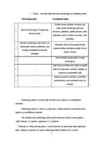 Referāts 'Mārketinga plānošana', 6.