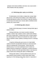 Referāts 'Mārketinga plānošana', 23.