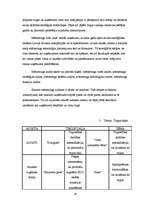 Referāts 'Mārketinga plānošana', 25.