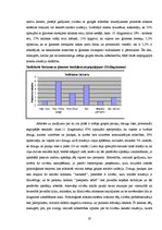 Prakses atskaite 'Sociālais darbs ar cilvēkiem, kuriem ir garīgās attīstības traucējumi', 19.