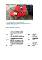 Eseja 'Diskursa analīze www.tvnet.lv komentāros par "Elbakjana un Stradiņa konfliktu"', 13.